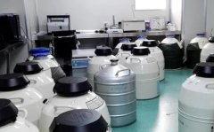 在柬埔寨做试管需要多长时间?