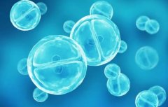 美国供精试管是怎样的流程?