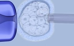 在美国做三代试管要多少钱?50万够吗?