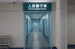 揭秘“种子银行”：试管的花费与精子质量大公开