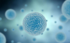 精子生存大挑战：活力期限与受孕能力的秘密