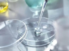 试管之旅全攻略：五大步骤与时间节点一网打尽！