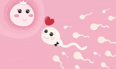 人工授精大揭秘：如何“聪明”投资，规划你的未来宝宝！