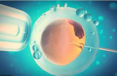 卵泡“小侦探”：降调前的它们也在“忙碌”吗？揭秘试管的“长方案