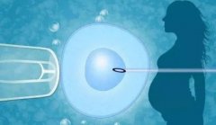 试管长方案费用都包含什么？一文了解最详费用明细