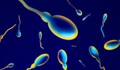 精子粘稠会影响精子的运动能力，采取这些措施提高生殖能力