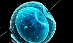 二代试管都做什么项目？收费项目有哪些？