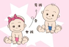 生男生女计算器检测宝宝准确吗？要如何使用？
