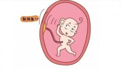 收藏！一文了解怀孕40周催生小妙招
