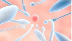 精子抗体阳性可以采取哪些措施治疗？有时需要接受体外受精治疗