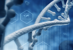 【科普】什么是试管基因编辑技术？