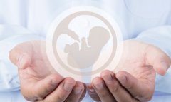 山东省不知去哪做试管？看过来！