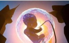 试管各阶段男方要如何配合?男方在试管中需要做些什么