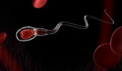 精子中有血说明了什么?是否需要进行治疗?