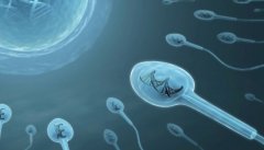 什么是梗阻性无精?这样的情况还有办法治疗吗?