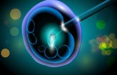 格鲁吉亚提供供卵试管吗?供卵试管总共需要多少钱?