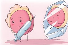 取卵后卵泡空是怎么回事?取卵后卵泡空有什么影响?