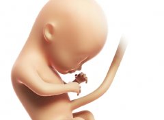 胎儿偏大我们应该怎么办?胎儿偏大会影响生娃吗?