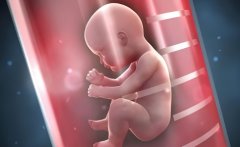 试管是否成功与年龄有关系吗?看看专家怎么解答?