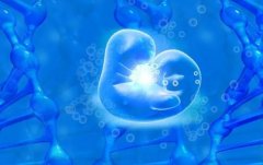 冻胚能做三代试管吗?冻胚的成功率高不高?