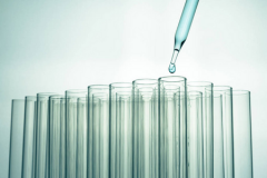 揭秘试管长方案：一场跨越12周的奇妙生命之旅！