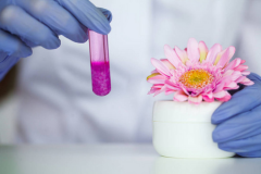 试管“长跑冠军”方案大揭秘！那些隐藏的小优势，你知道吗？