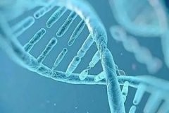 试管长方案成功率高不高？可有效提高成功率