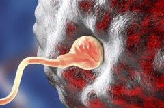 去马来西亚做三代试管优缺点有哪些，费用大概多少