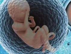 很多家庭想通过试管要龙凤胎，可以选择马来西试管供卵吗