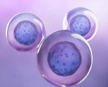 为什么很多高龄女性选择三代试管?大概六成女性一次成功
