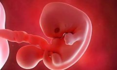 试管弄错胚胎概率大吗?试管怎么提高正确率?