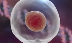 试管长方案有哪些优势?为什么要选择试管长方案?