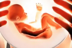 子宫内膜多厚才可以进行胚胎移植?胚胎移植需要注意些什么?