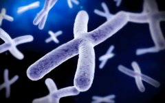 不孕不育怎么办?格鲁吉亚可以提供供精试管!