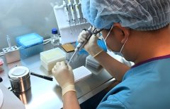 三代试管筛查可以查什么?能查出染色体问题吗?