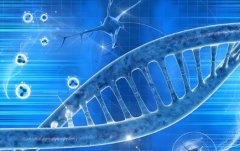 三代试管PGD筛查可以报销吗?国家有政策扶持吗?