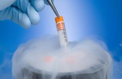 冻卵好还是冻胚胎比较好?冻卵和冻胚胎成功率分别怎么样?