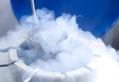 胚胎2级是什么意思?胚胎2级可以成功怀孕吗?