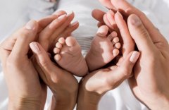 试管能一次性就成功吗?试管成功的概率多少?