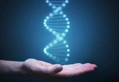 三代试管只有一个卵泡吗?这是怎么回事?影响受孕吗?