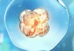 第三代试管技术怎么样?第三代试管选的人多吗?