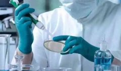 嵌合体胚胎是怎么回事?三代试管嵌合体胚胎能要吗?