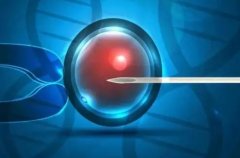 三代试管PGS活检会伤害囊胚吗?囊胚怎么做才能更好?