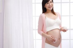 6细胞1级胚胎移植成功率低不低？详细成功率数据表内附