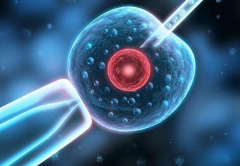 揭秘取卵“魔法针”：降调背后的六大奇妙好处！