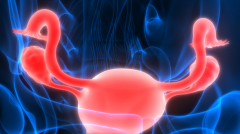 内膜不“给力”，囊胚移植成功率“打折”？听听“过来人”怎么说！