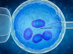 鲜胚“失守”，囊胚“救场”！失败后多久再试，你知道吗？