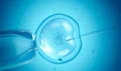 马来西亚试管技术存在这些优势