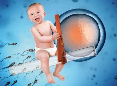 马来西亚的三代试管优于泰国吗？别怀疑，应该了解这些术前选项的要