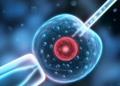 单身为什么选择格鲁吉亚试管，优势在哪？